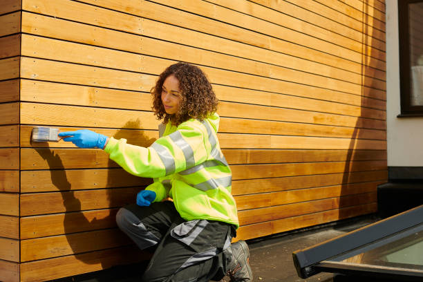 Best Steel Siding Installation  in Chandler, IN